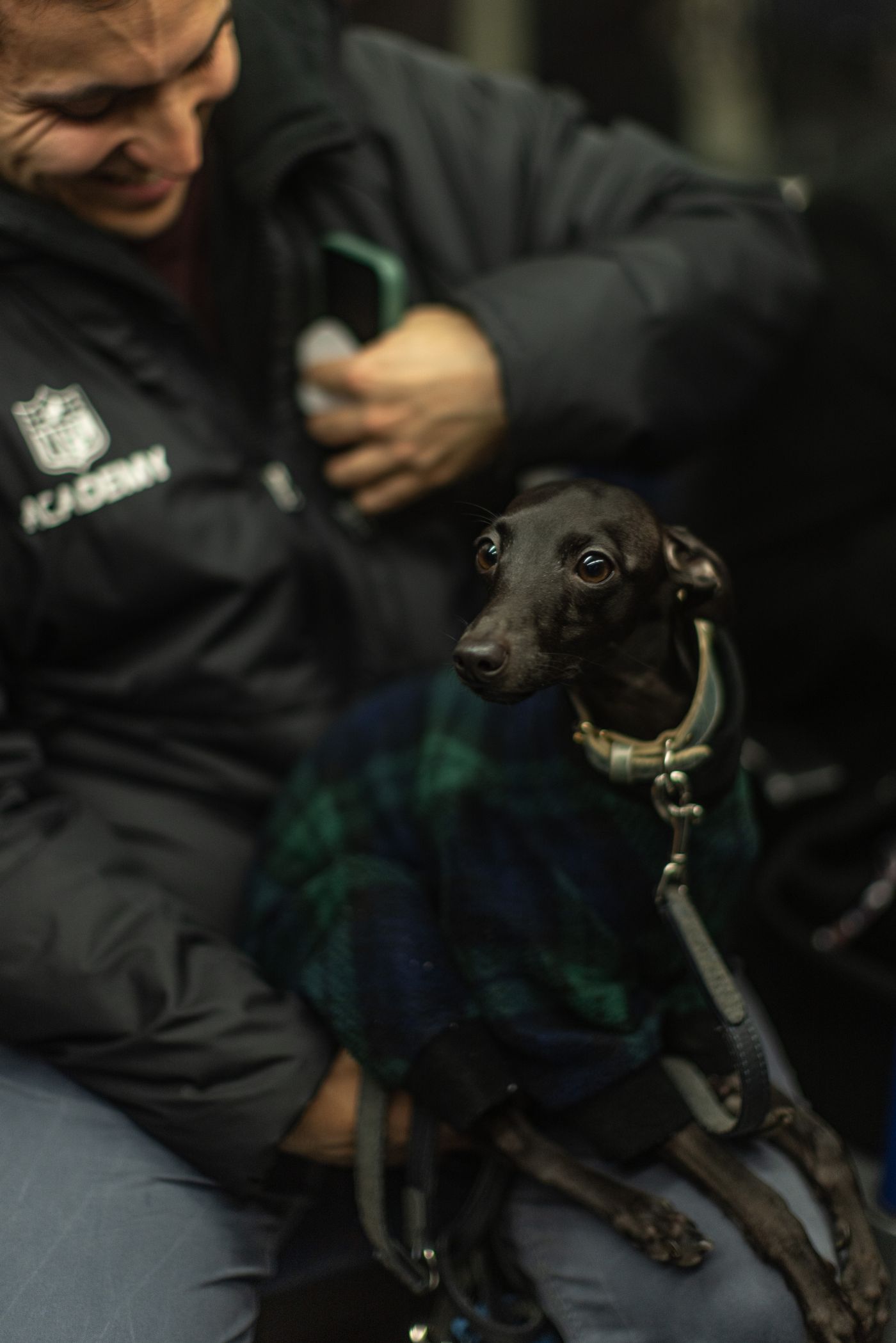 Criers, Punks and a Small Dog — photo 8