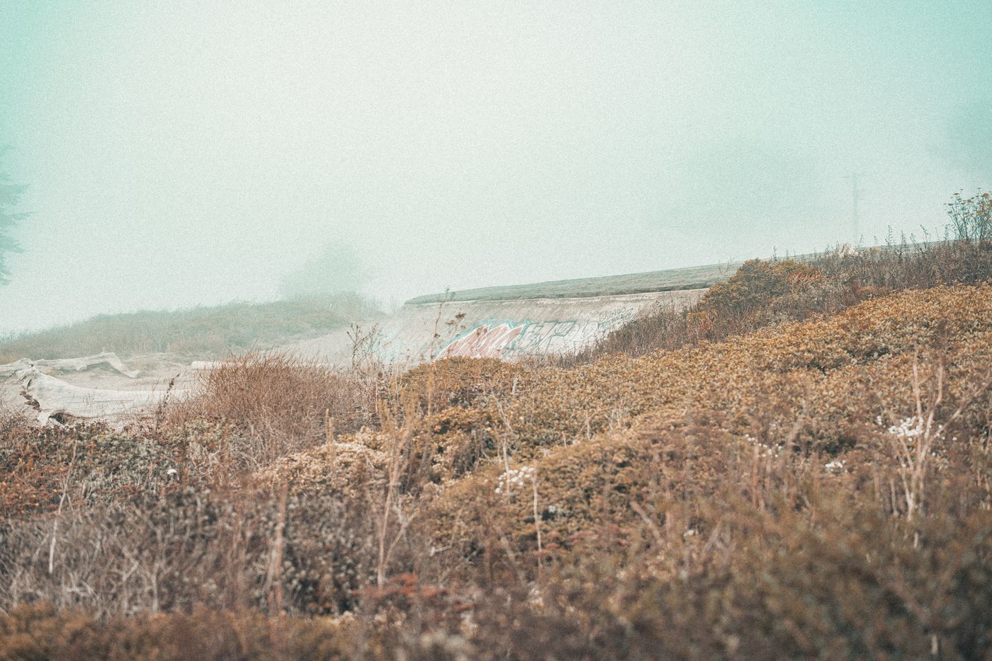 Fog, Concrete and a Red Bridge — photo 2