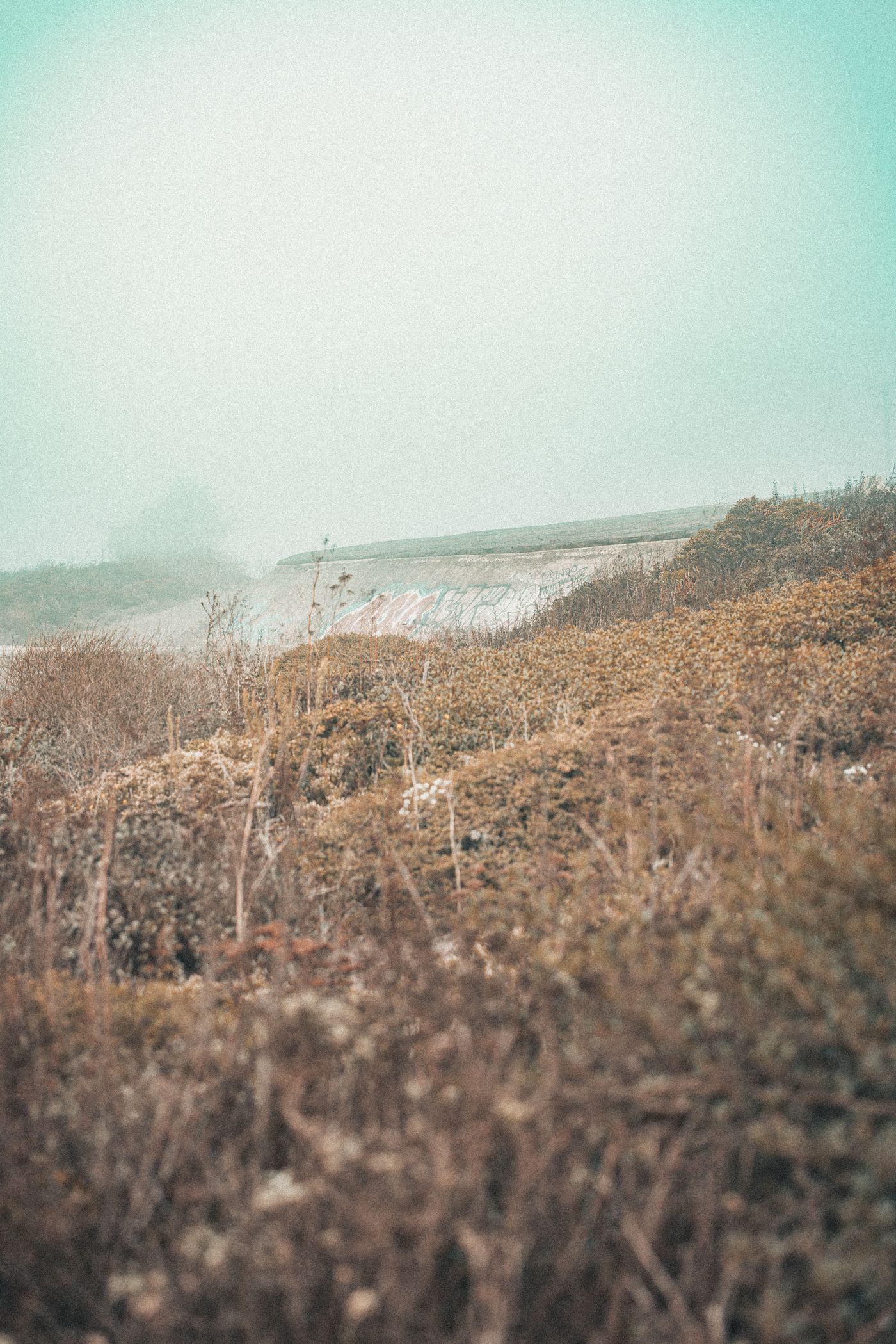 Fog, Concrete and a Red Bridge — photo 3