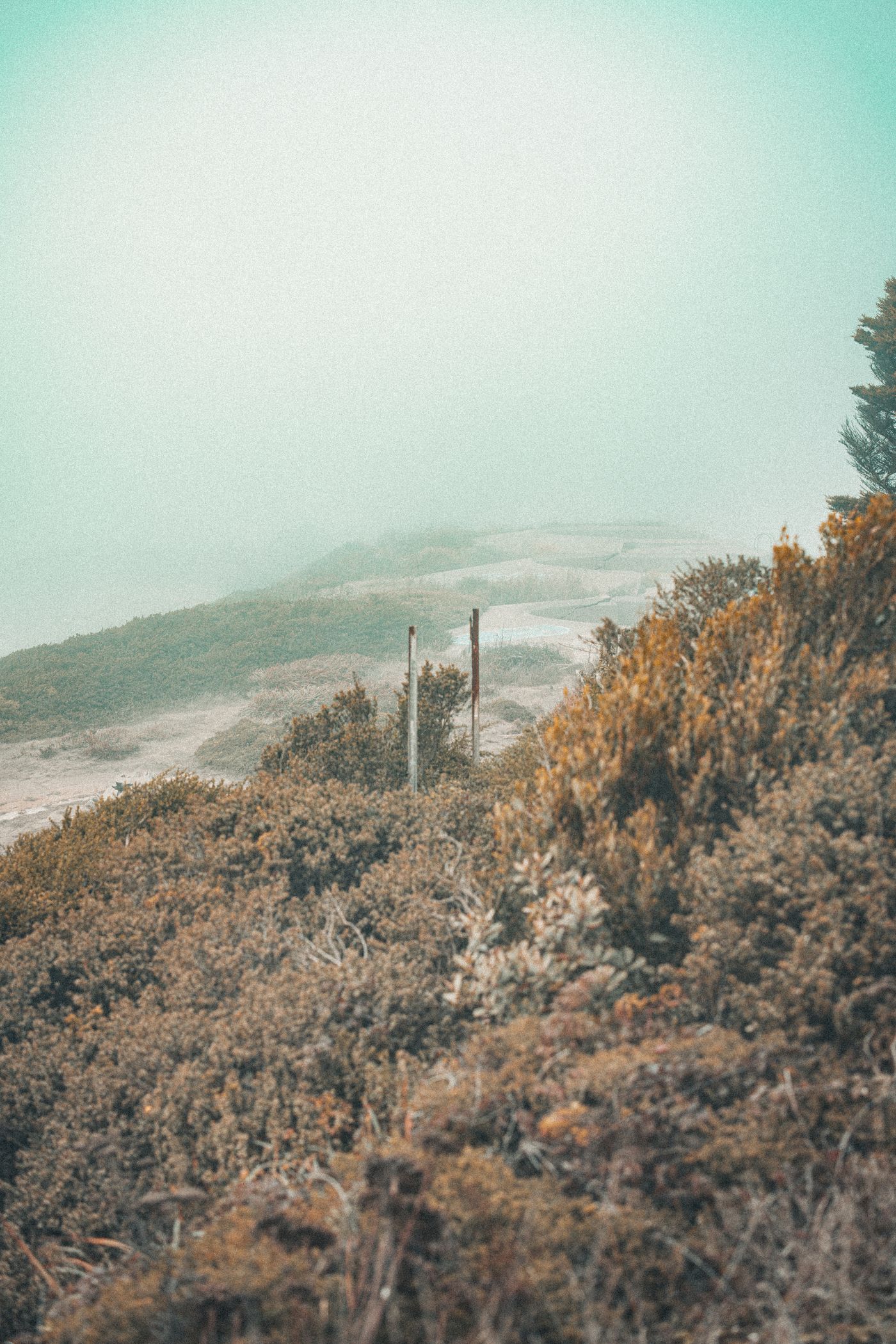 Fog, Concrete and a Red Bridge — photo 5