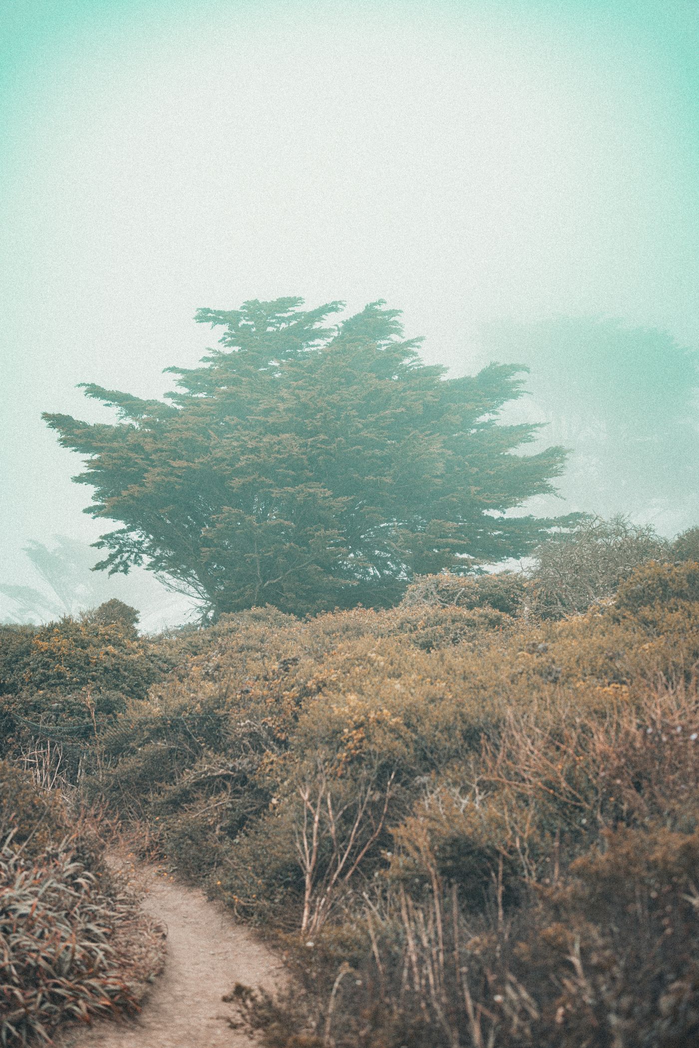 Fog, Concrete and a Red Bridge — photo 7