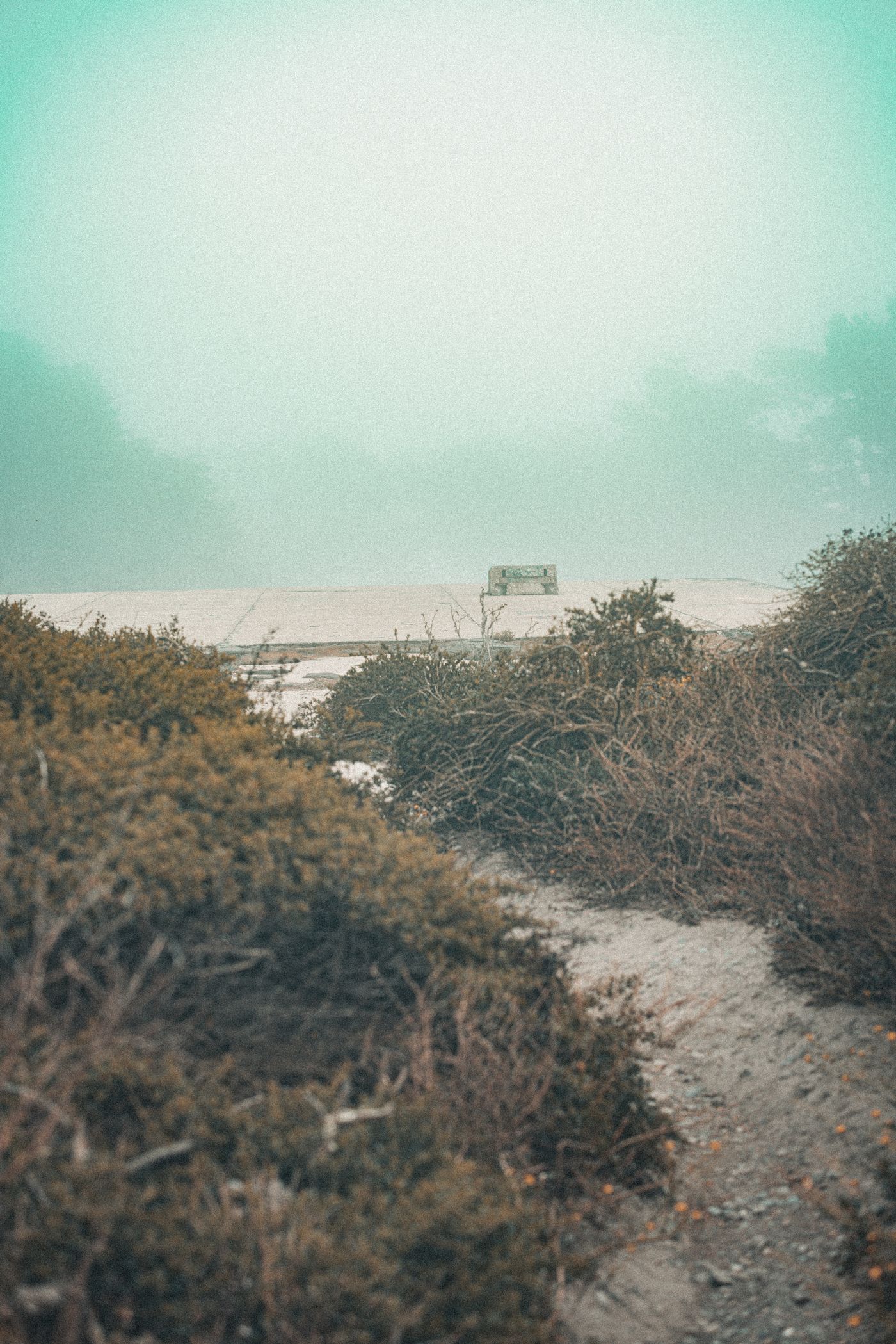 Fog, Concrete and a Red Bridge — photo 8