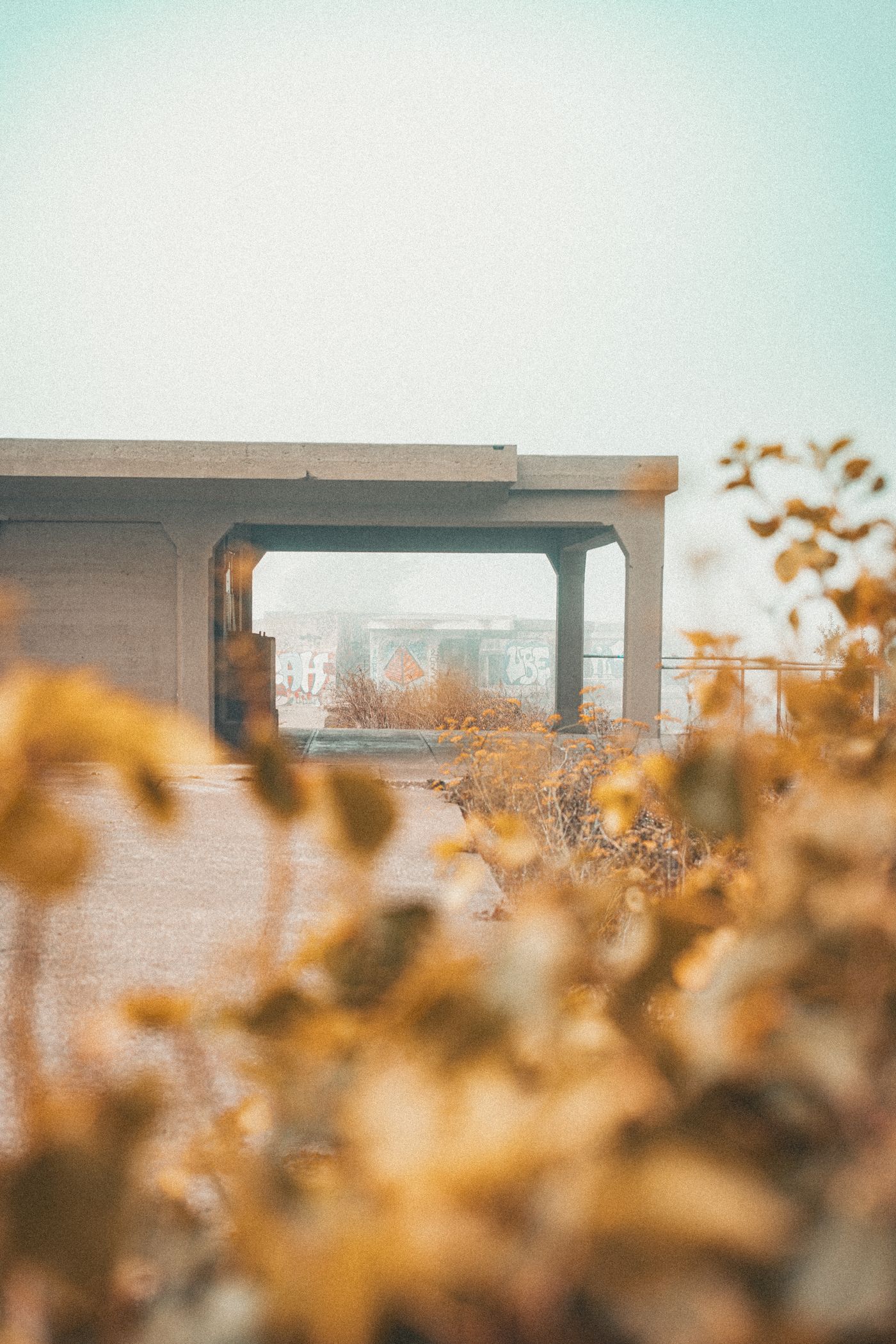 Fog, Concrete and a Red Bridge — photo 25