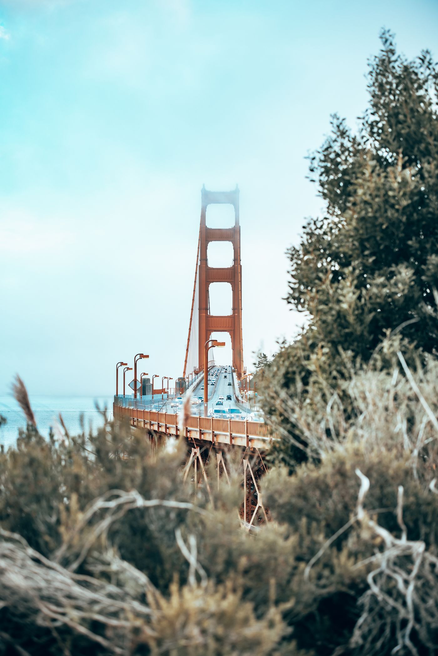 Fog, Concrete and a Red Bridge — photo 54