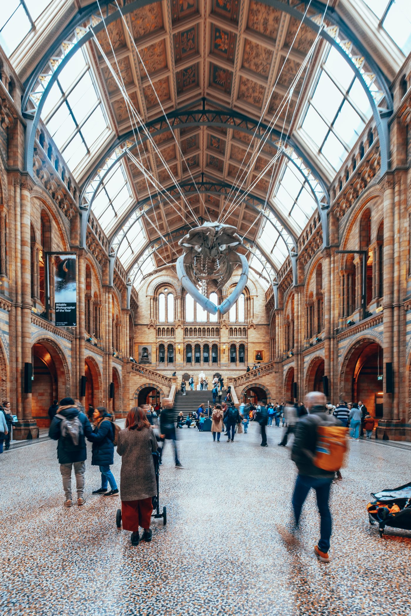 Bones, Arches and a Blue Whale — photo 4
