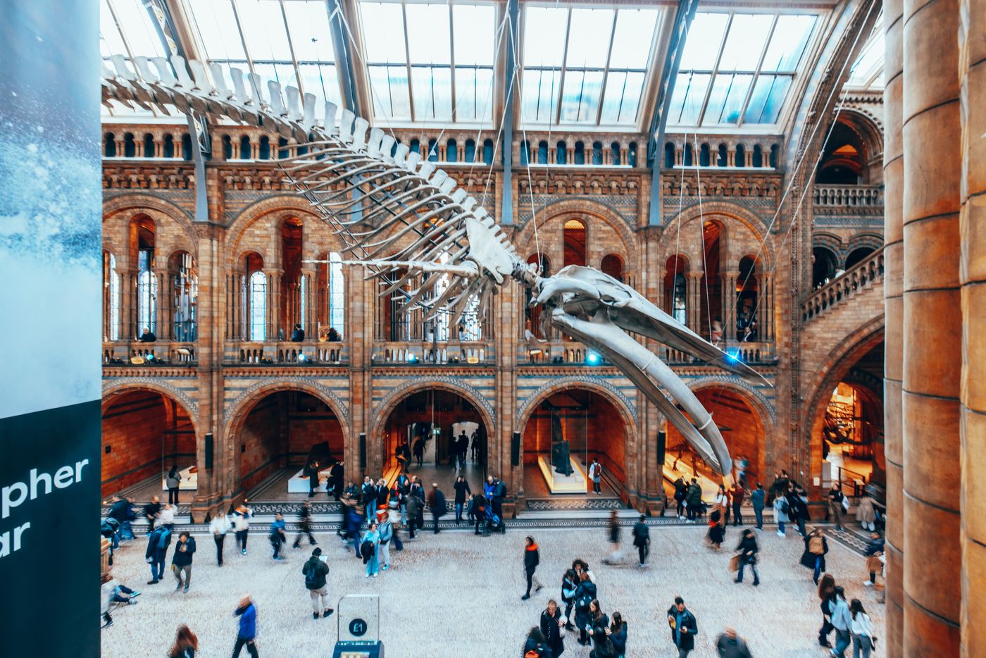 Bones, Arches and a Blue Whale — photo 1