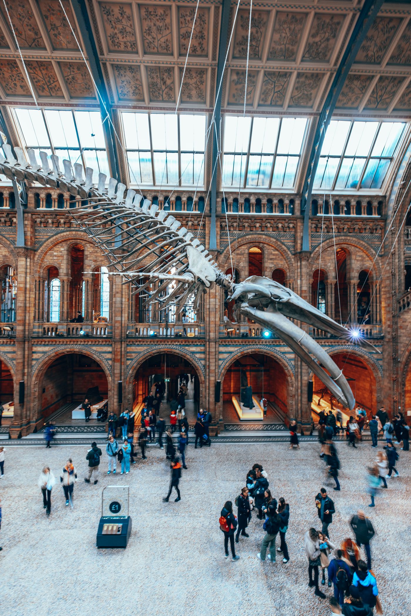Bones, Arches and a Blue Whale — photo 6