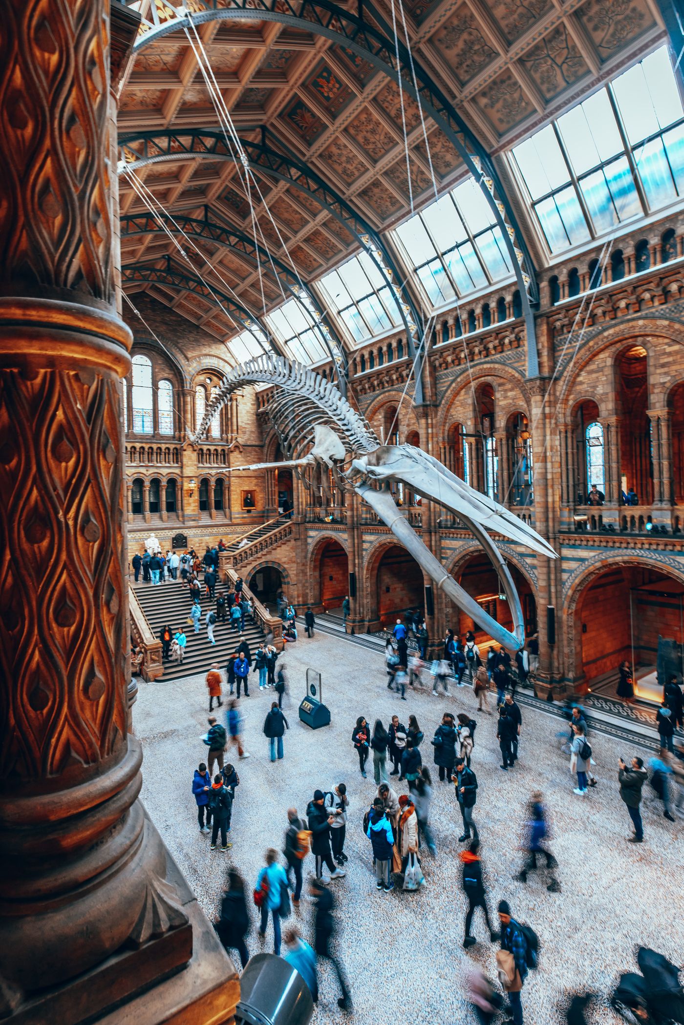 Bones, Arches and a Blue Whale — photo 8