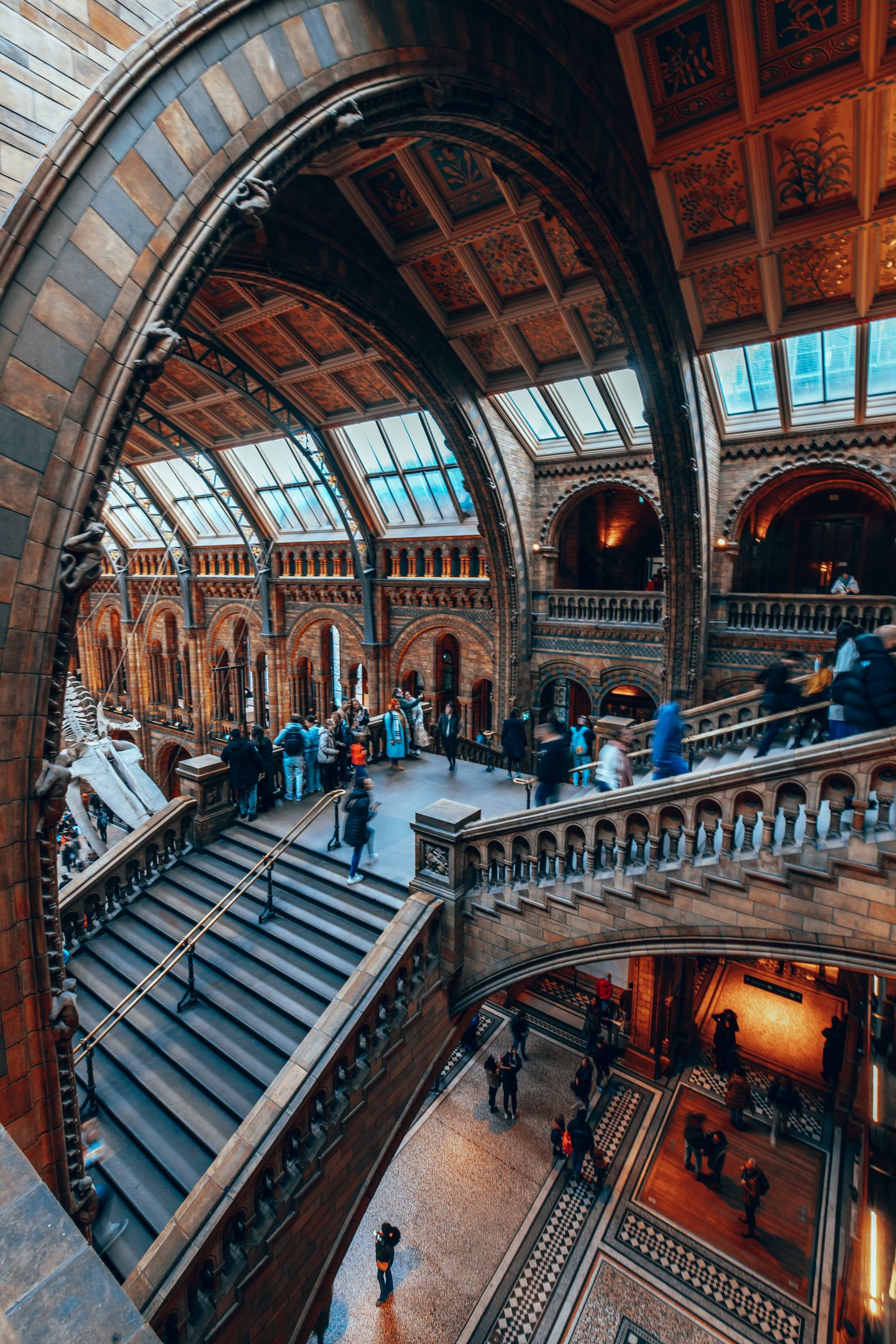 Bones, Arches and a Blue Whale — photo 10