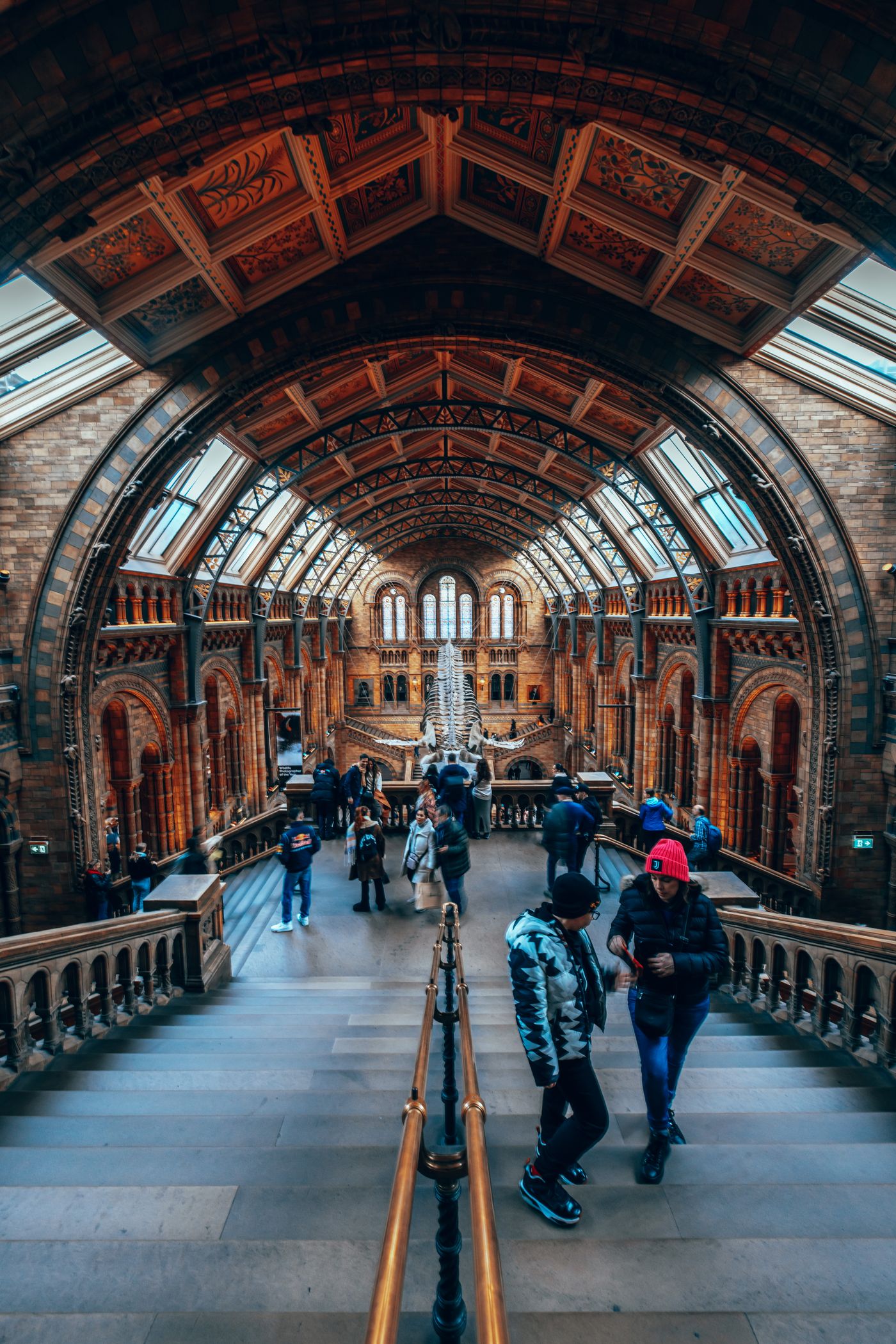 Bones, Arches and a Blue Whale — photo 11