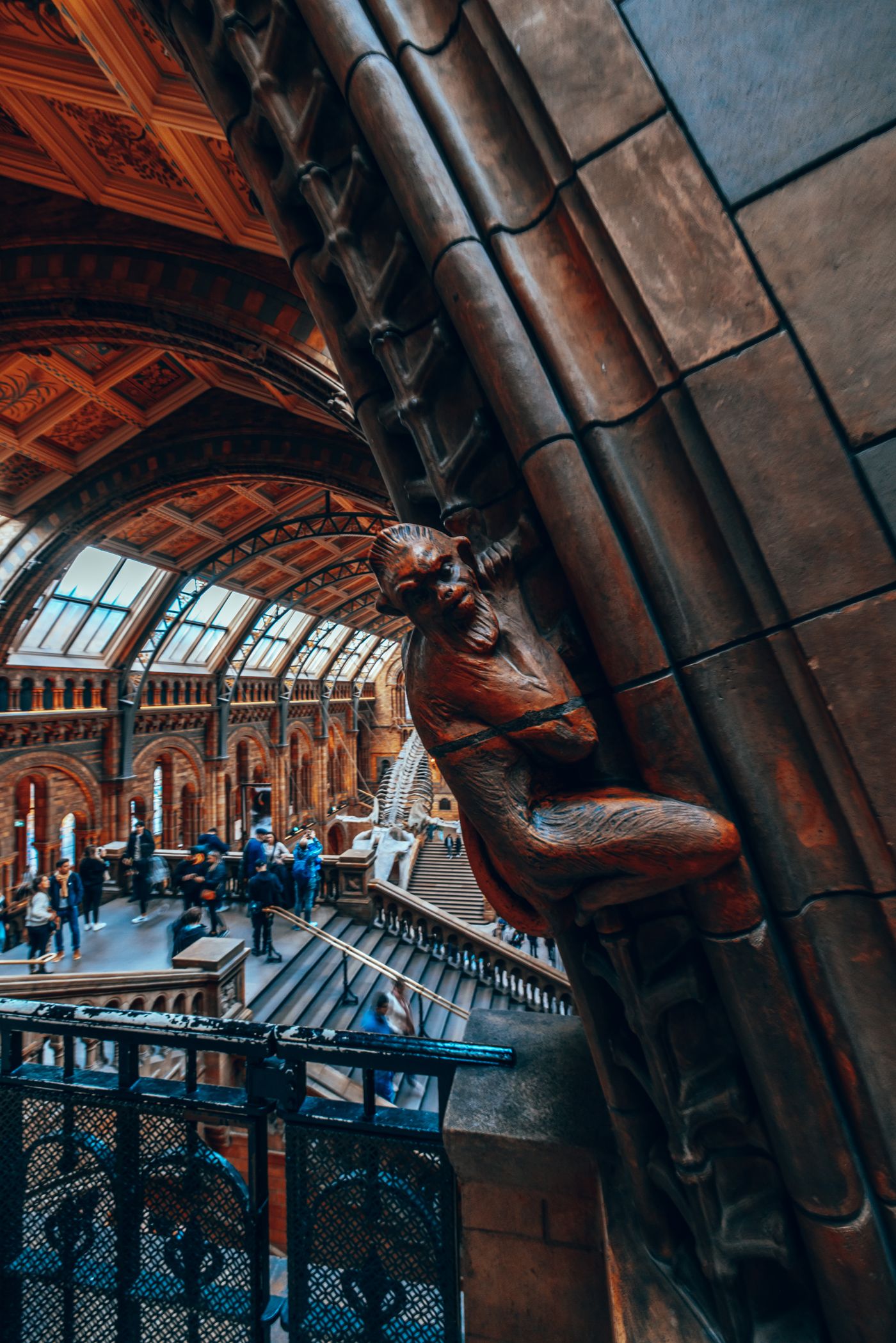 Bones, Arches and a Blue Whale — photo 12