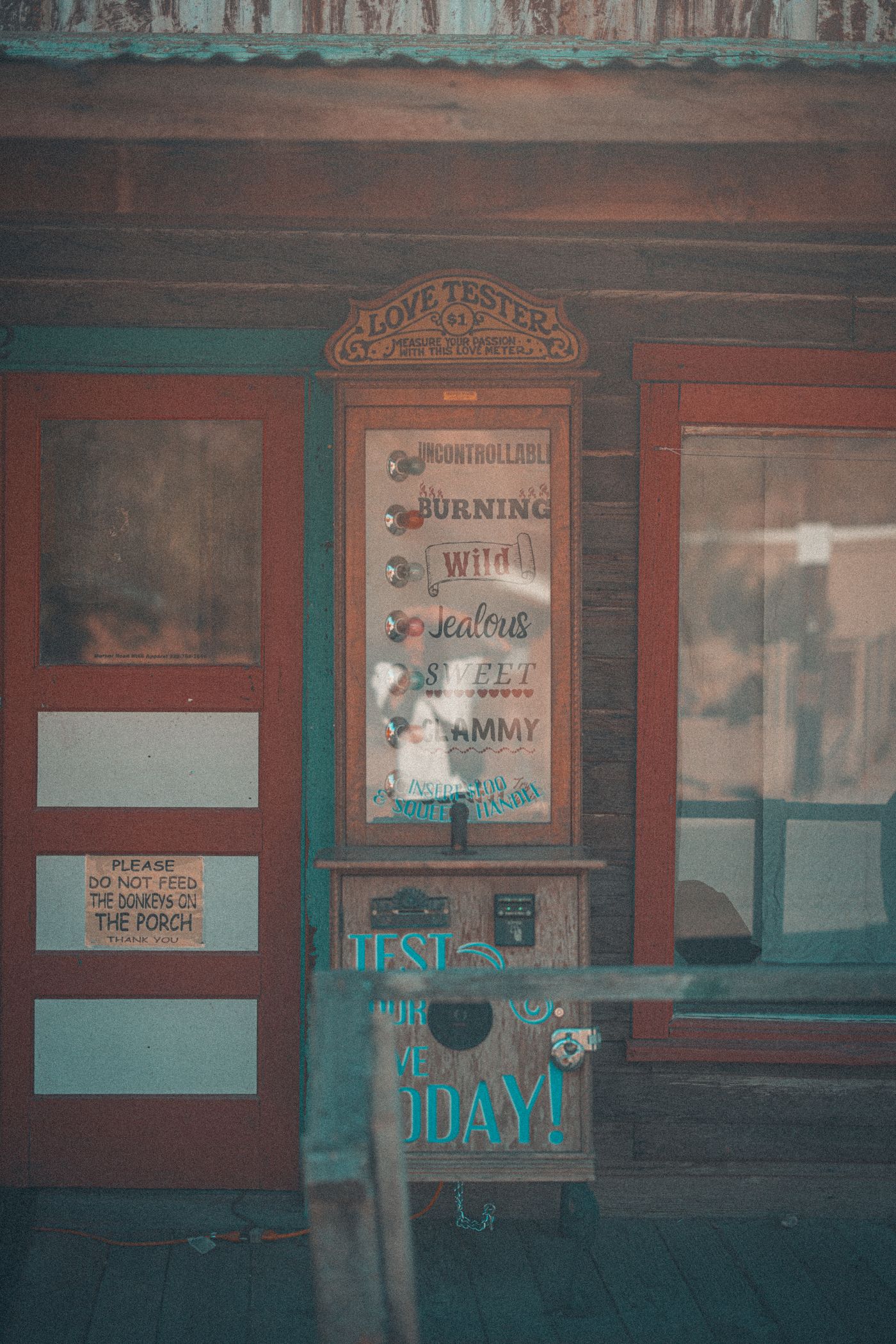 Burros on Main Street — photo 3