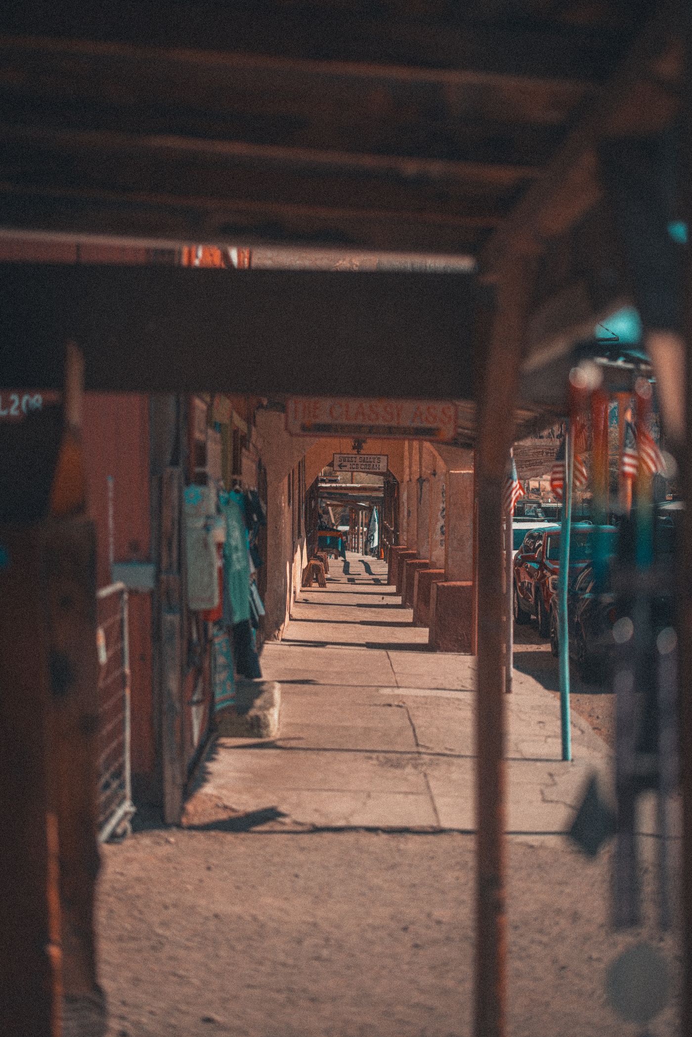 大通りのロバたちの写真 7