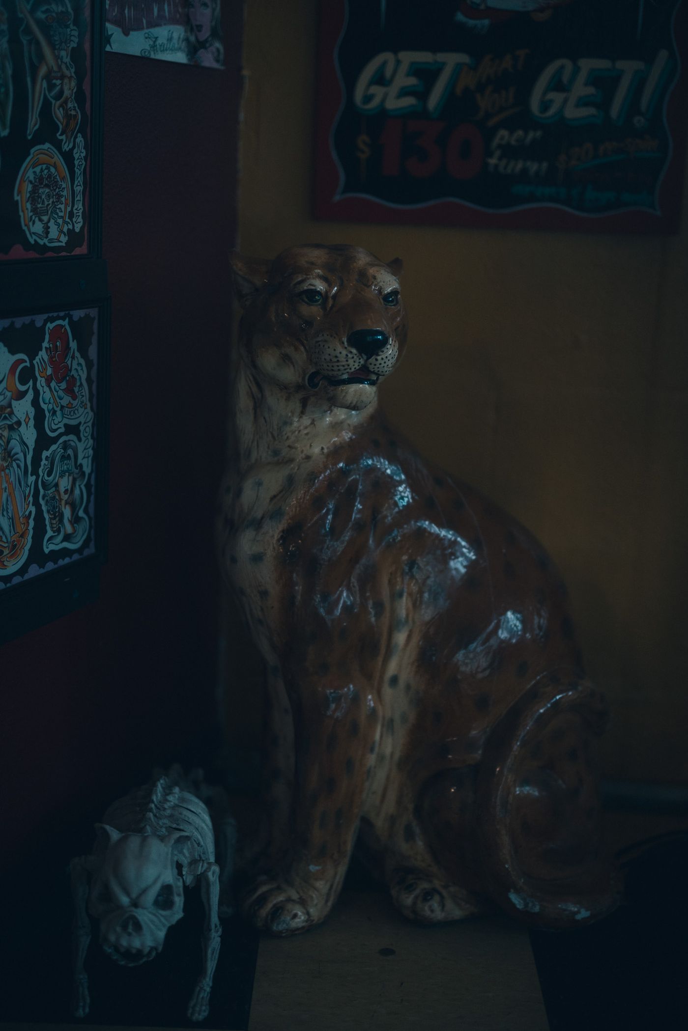 次は、誰だの写真 18