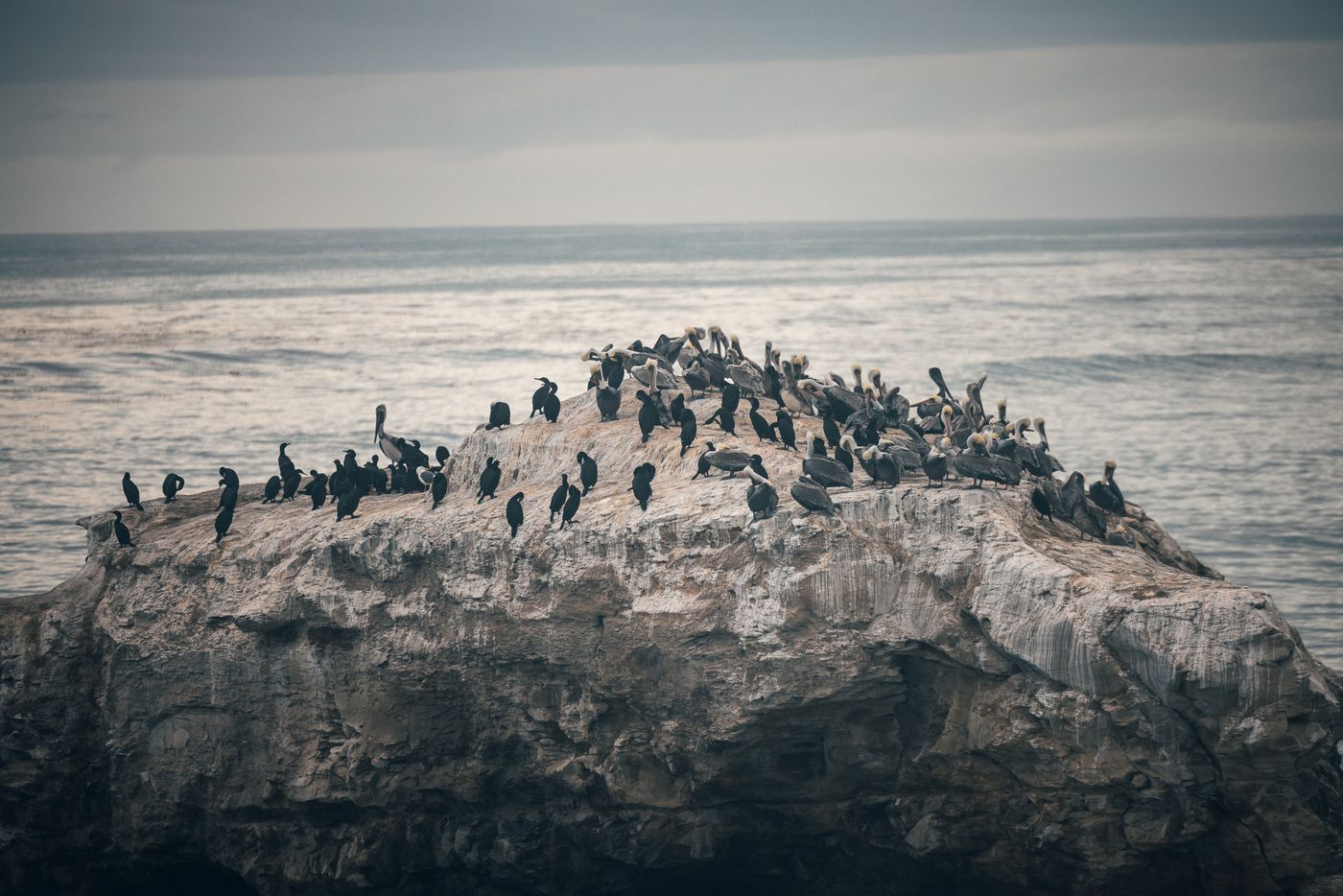 A crowd on the rock.