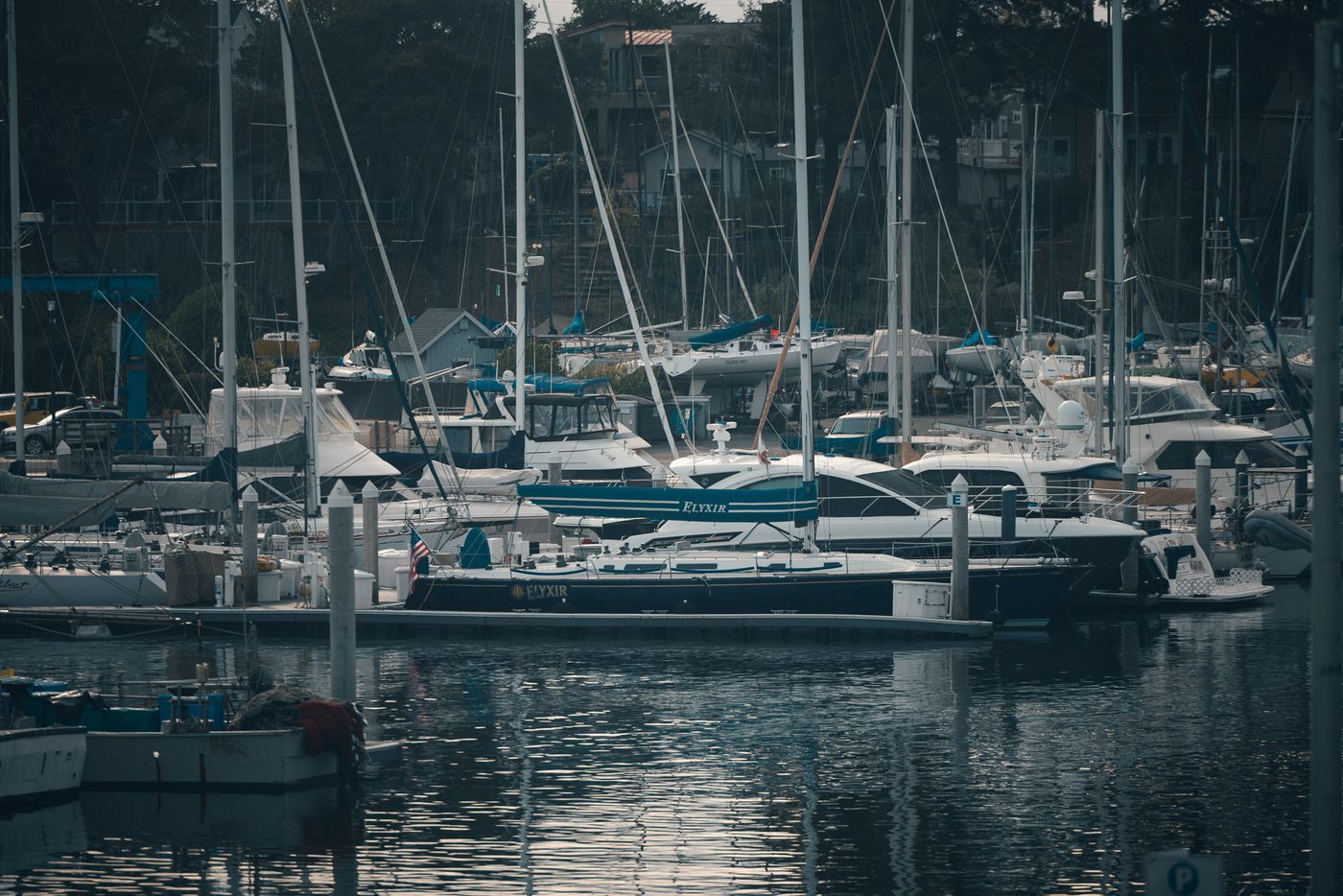 The marina.