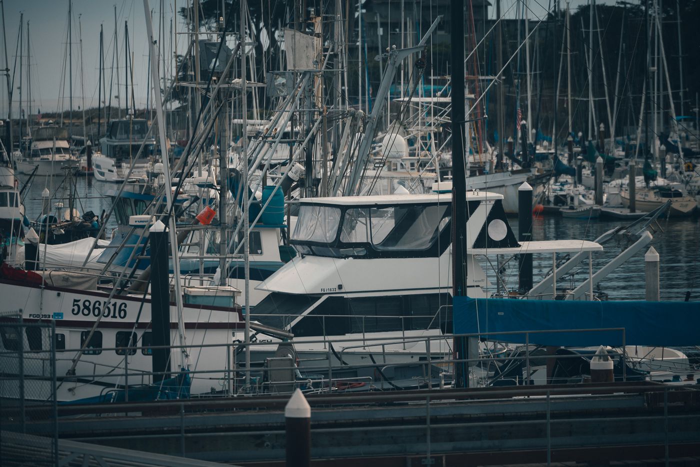 A working boat.
