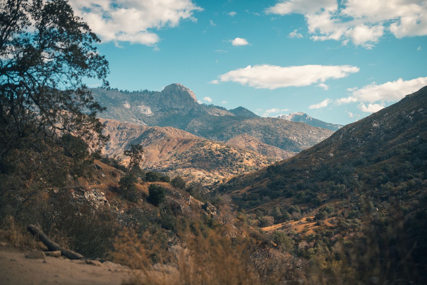 Into the mountains.