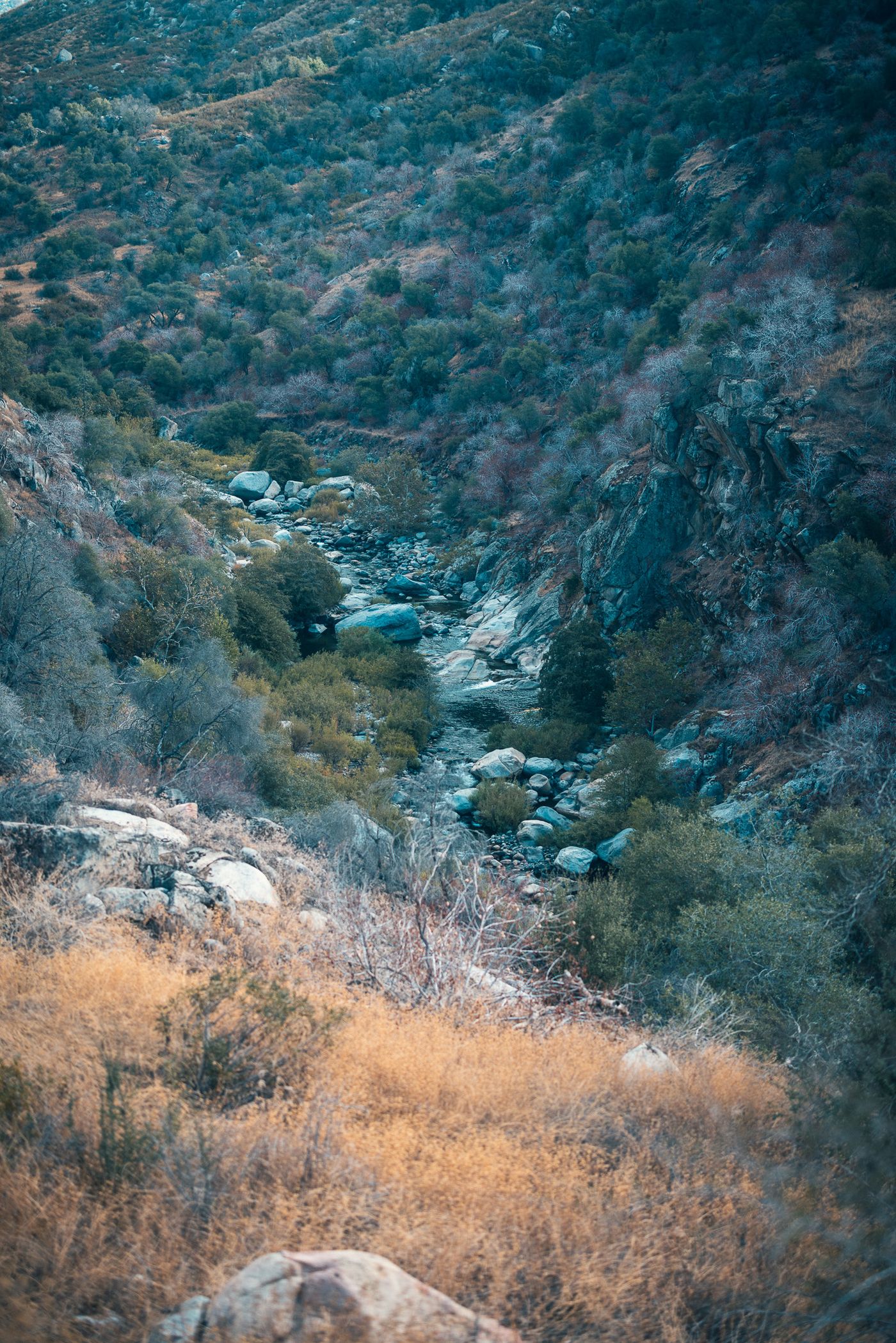The river below.