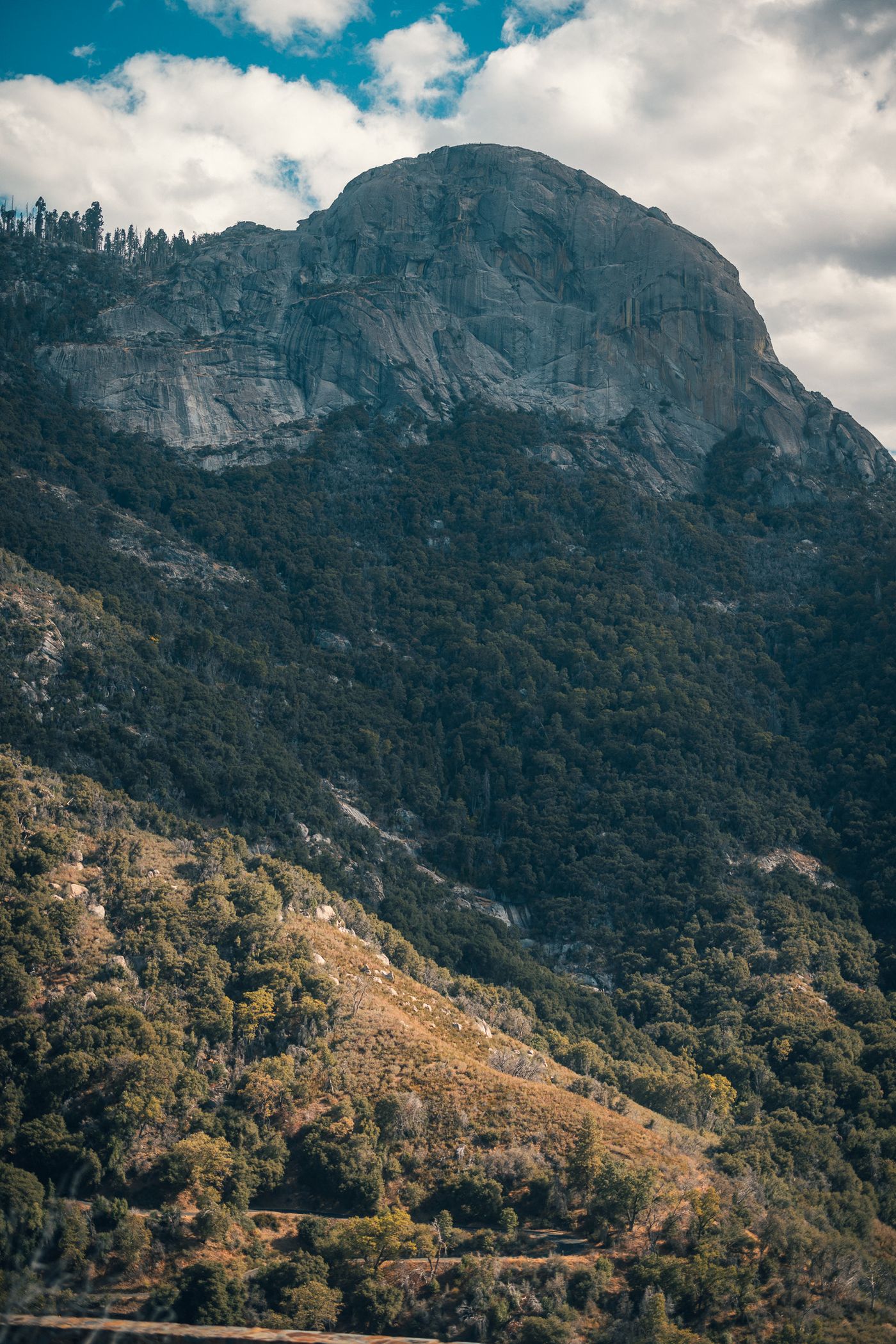 Up from the Valley — photo 30
