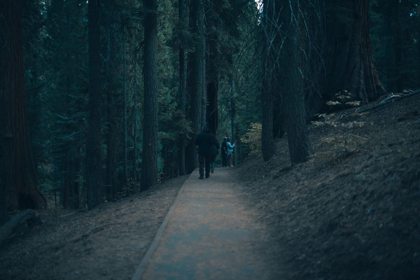 Among the Giants — photo 11