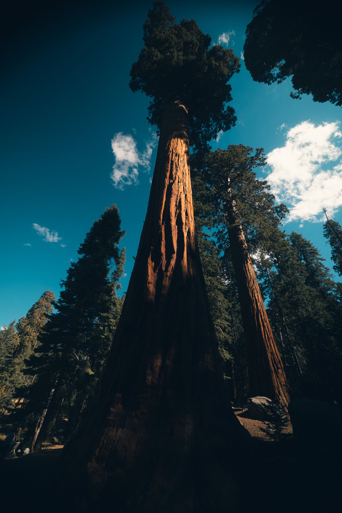 Among the Giants — photo 15