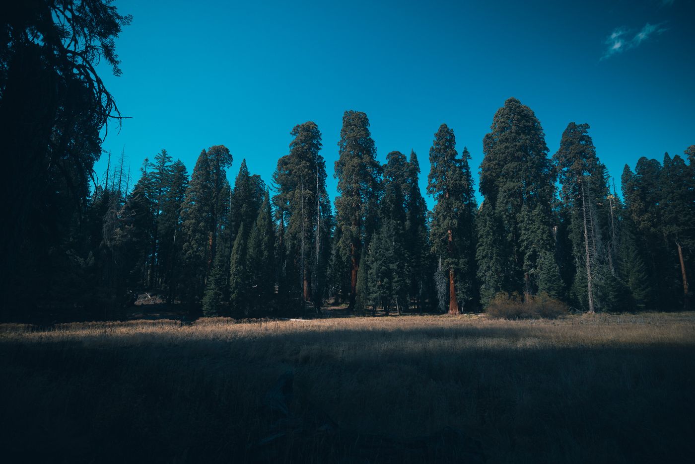 A ring of giants.