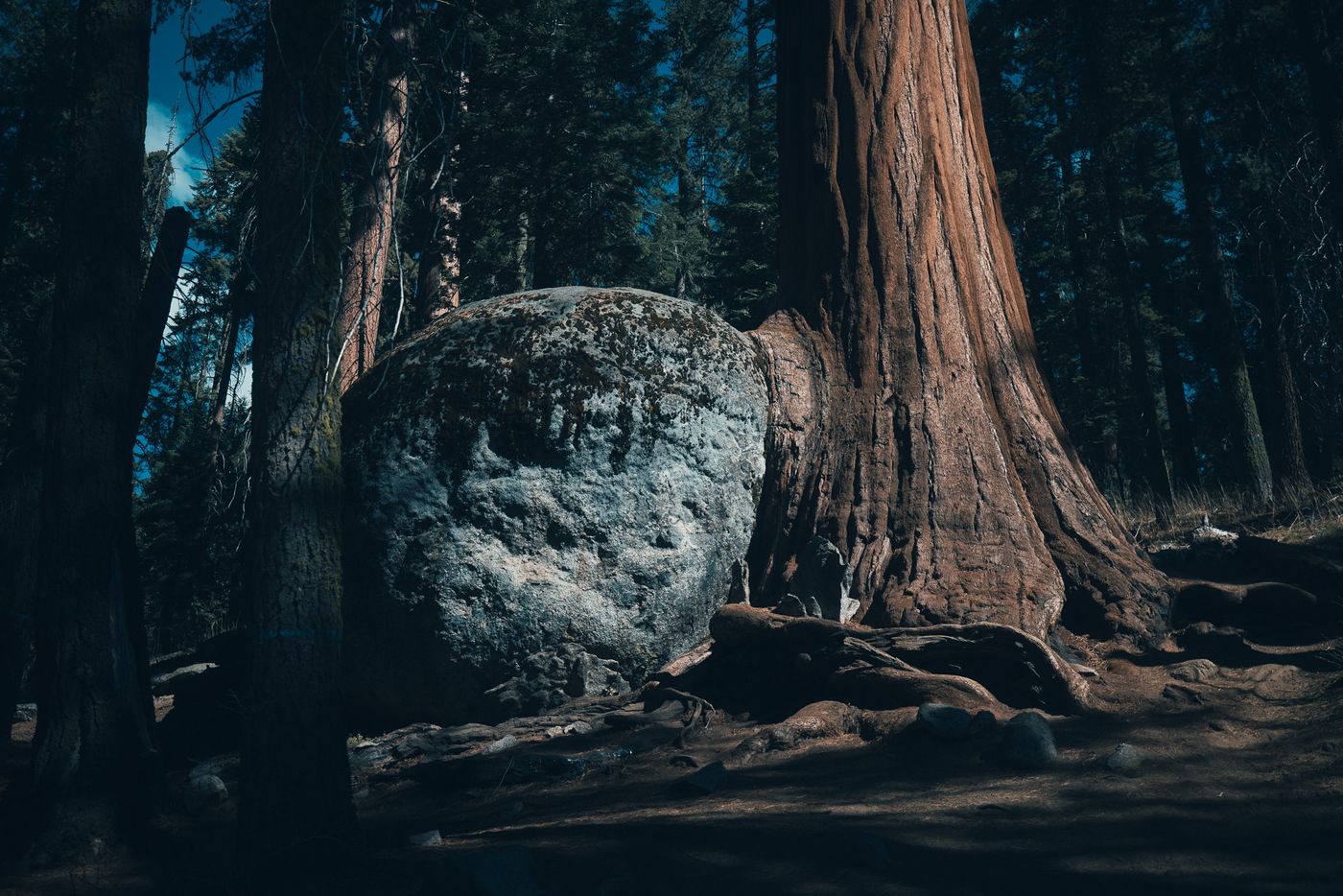 Granite and bark.