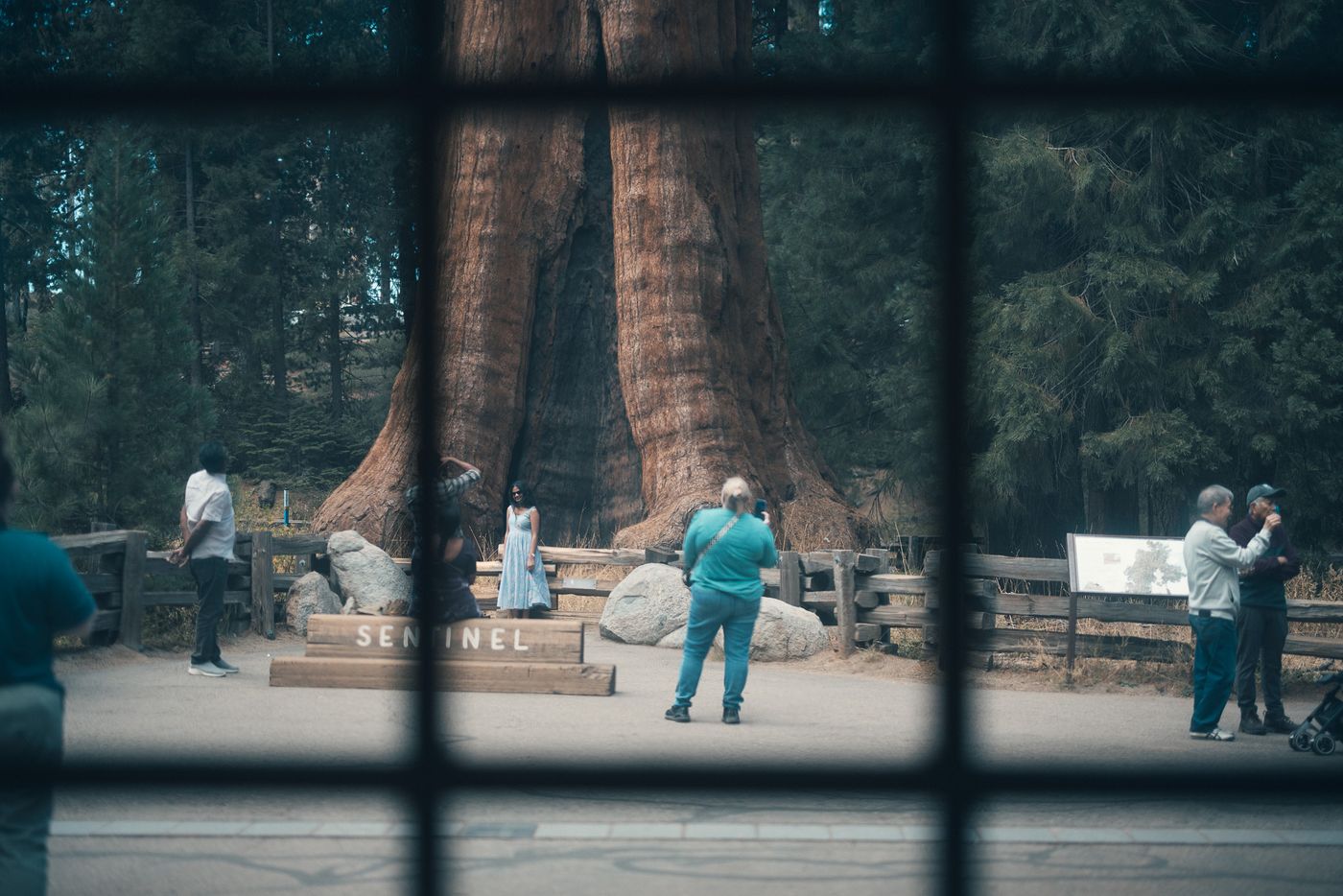 Among the Giants — photo 39